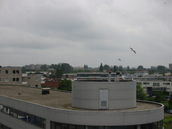 img 0932