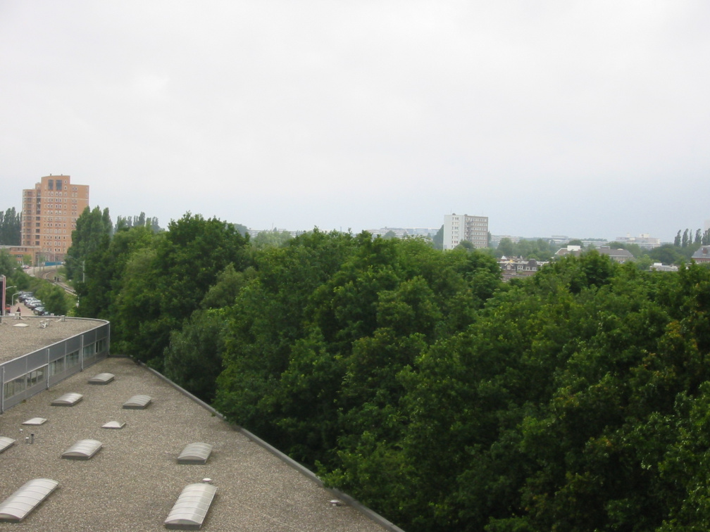 img 0935