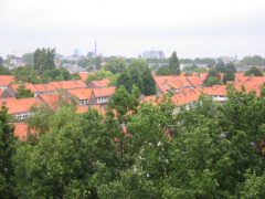 img 0937