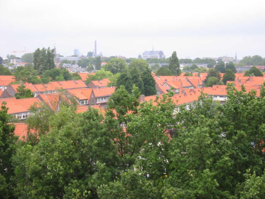 img 0937