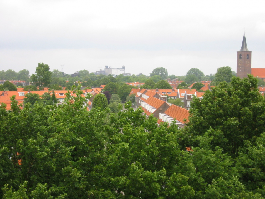 img 0938