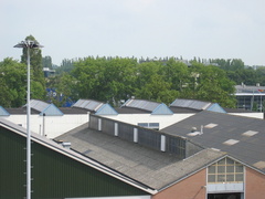 panorama grip0003