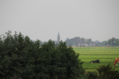 RES-IMG 4108
