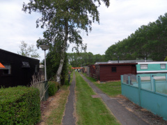SDC10091