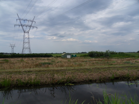 SDC10096