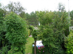 SDC10103