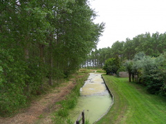 SDC10105