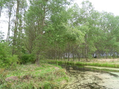 SDC10110