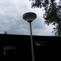 SDC10116