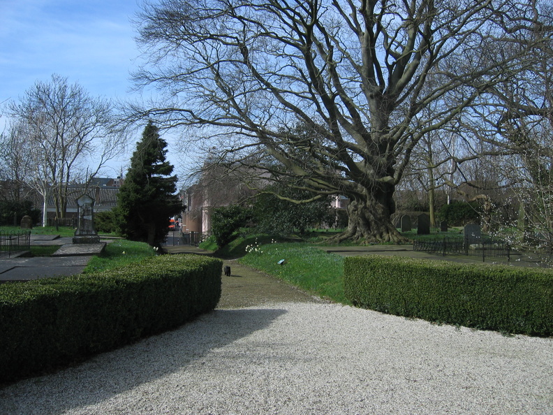 Groenesteeg03