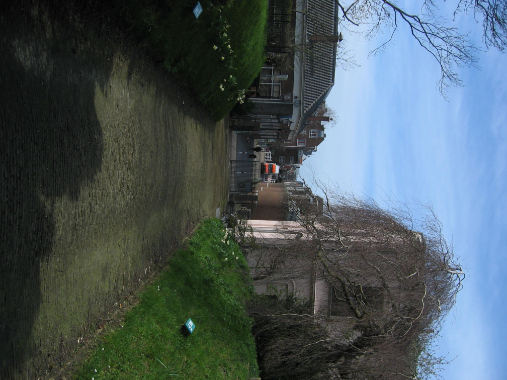 Groenesteeg05
