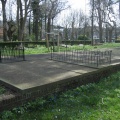Groenesteeg08