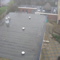 Haagwijk0004