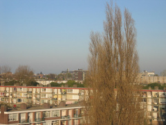 Haagwijk0017