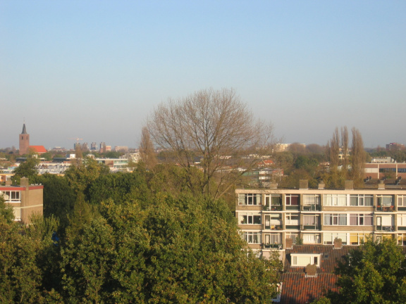 Haagwijk0019