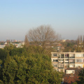 Haagwijk0019