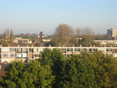 Haagwijk0020