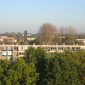 Haagwijk0020