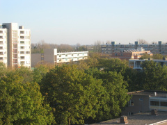 Haagwijk0023