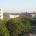 Haagwijk0023