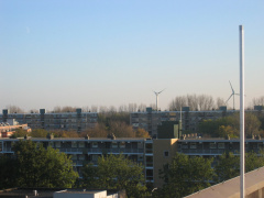 Haagwijk0024