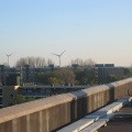 Haagwijk0025