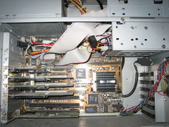IMG 0295