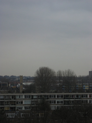 haagwijk 54