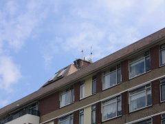 img 1412