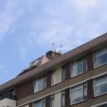 img 1412