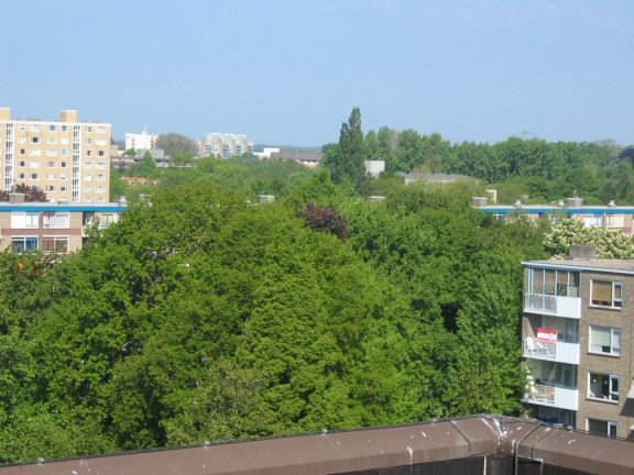 Haagwijk panorama 882