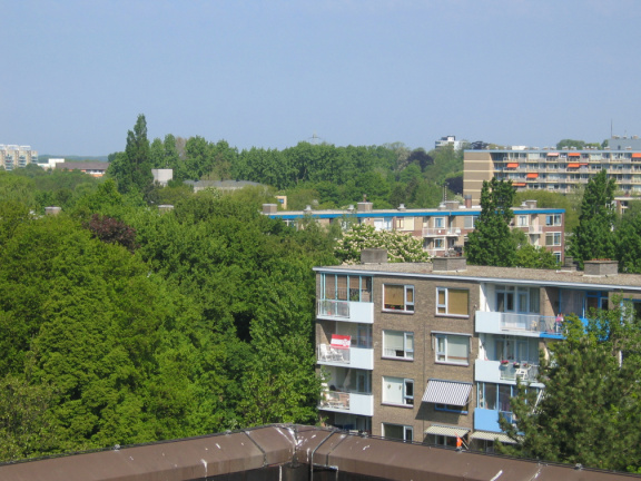 Haagwijk panorama 884