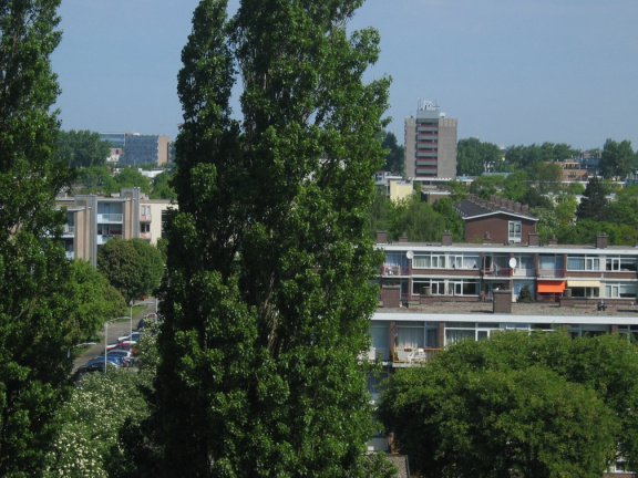 Haagwijk panorama 888