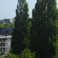 Haagwijk panorama 894