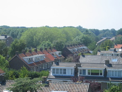 Hofwijck 65