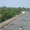 Hofwijck 71