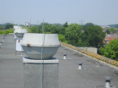 Hofwijck 72