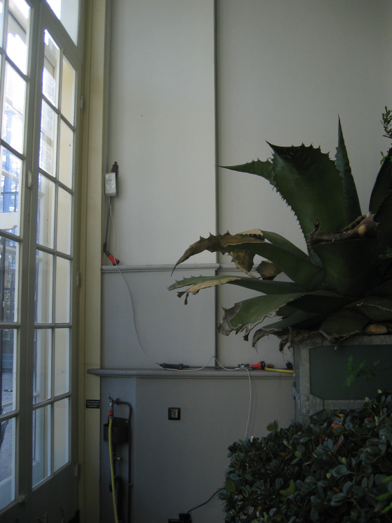 Hortus repeater2