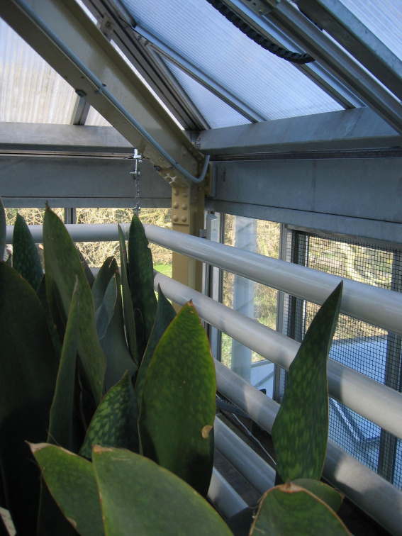 Hortus repeater5