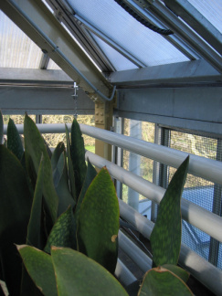 Hortus repeater5