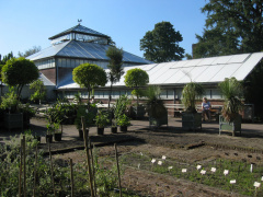 hortus 08