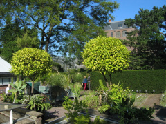 hortus 09
