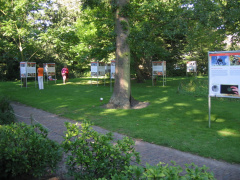 hortus 12