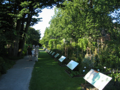 hortus 21
