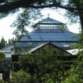 hortus 26