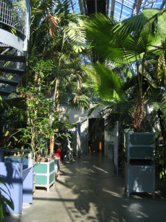 hortus 27