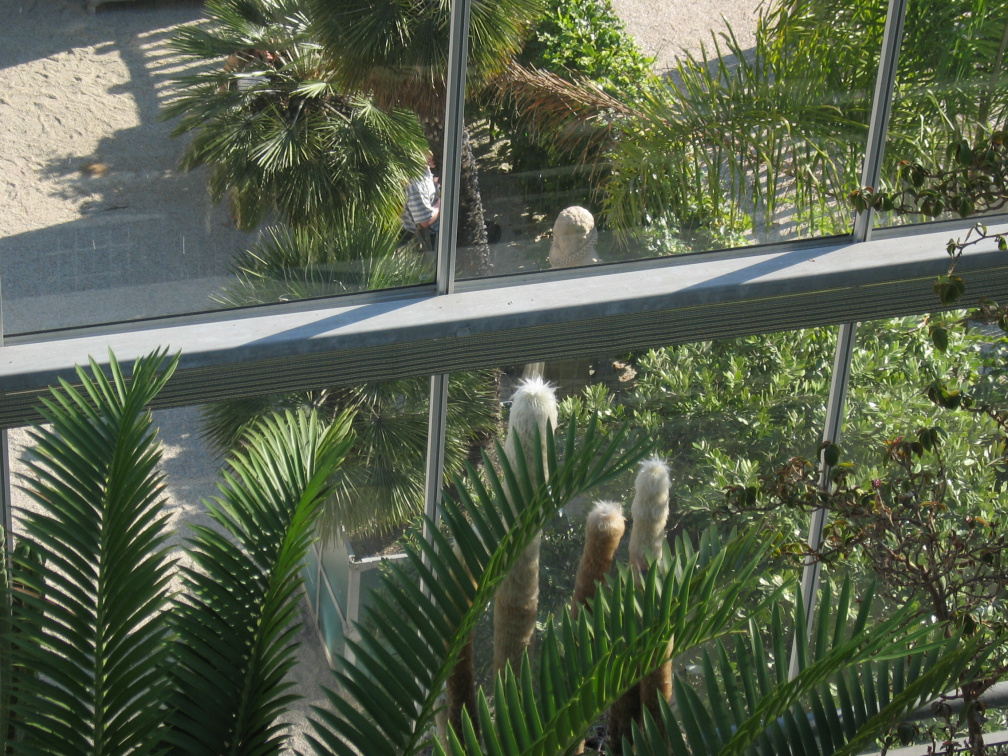 hortus 37