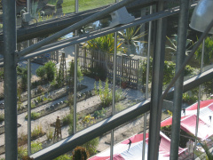 hortus 40