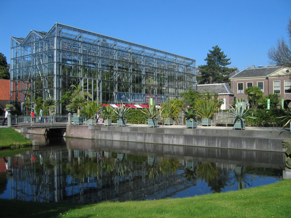 hortus 99