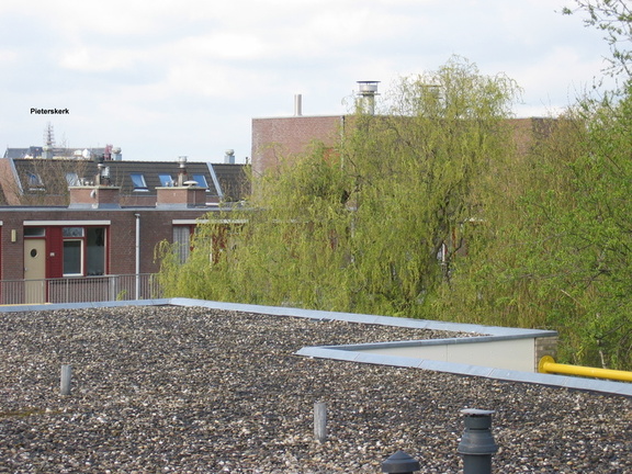 houtmarkt0009
